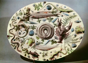 Plat 